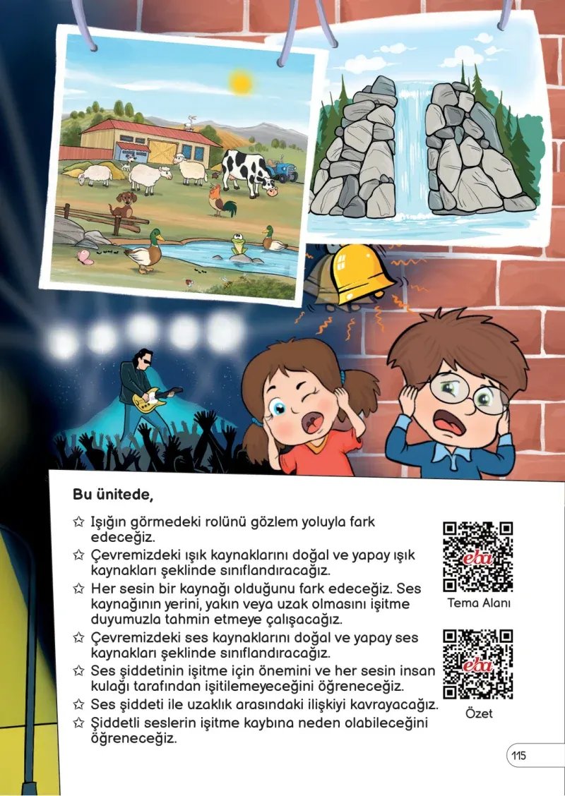 3. Sınıf Fen Bilimleri Ders Kitabı Cevapları Meb Yayınları Sayfa 115