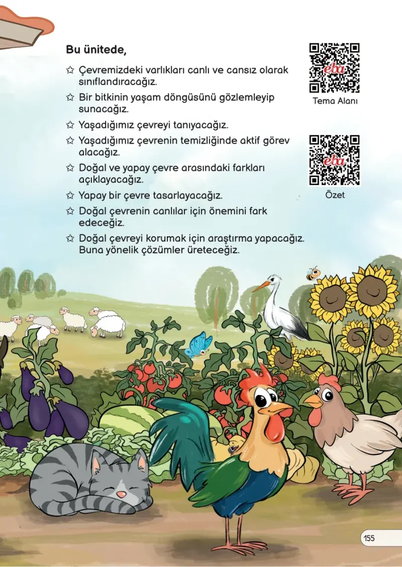 3. Sınıf Fen Bilimleri Ders Kitabı Cevapları Meb Yayınları Sayfa 155