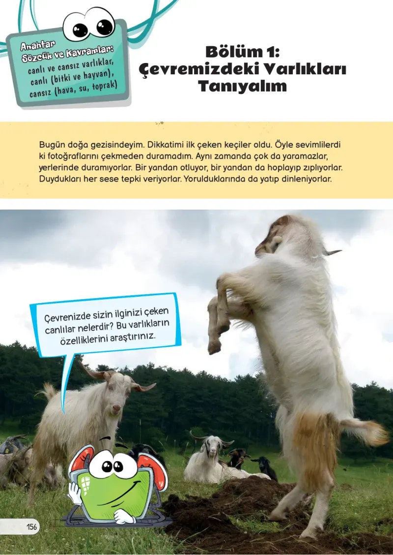 3. Sınıf Fen Bilimleri Ders Kitabı Cevapları Meb Yayınları Sayfa 156