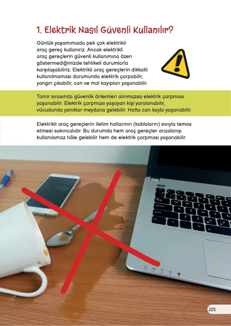 3. Sınıf Fen Bilimleri Ders Kitabı Cevapları Meb Yayınları Sayfa 205