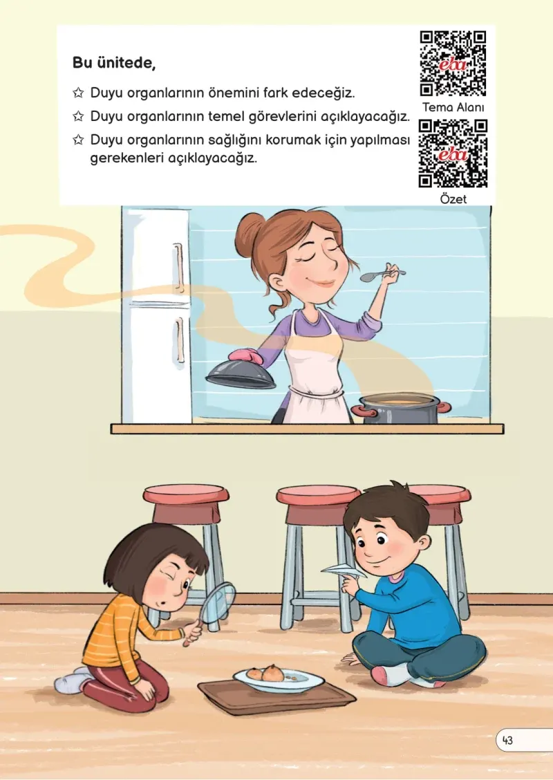 3. Sınıf Fen Bilimleri Ders Kitabı Cevapları Meb Yayınları Sayfa 43