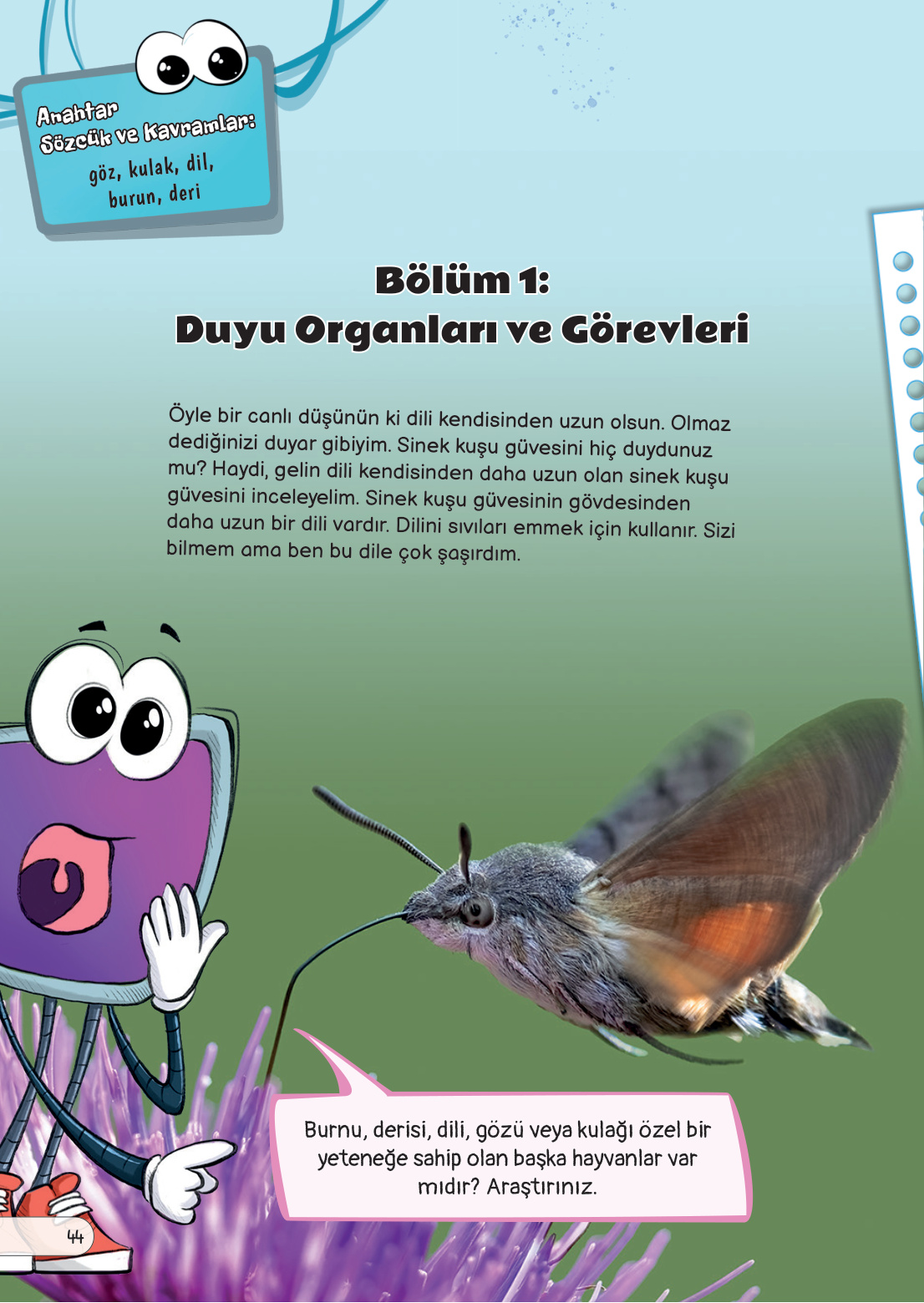 Kitap Sayfası