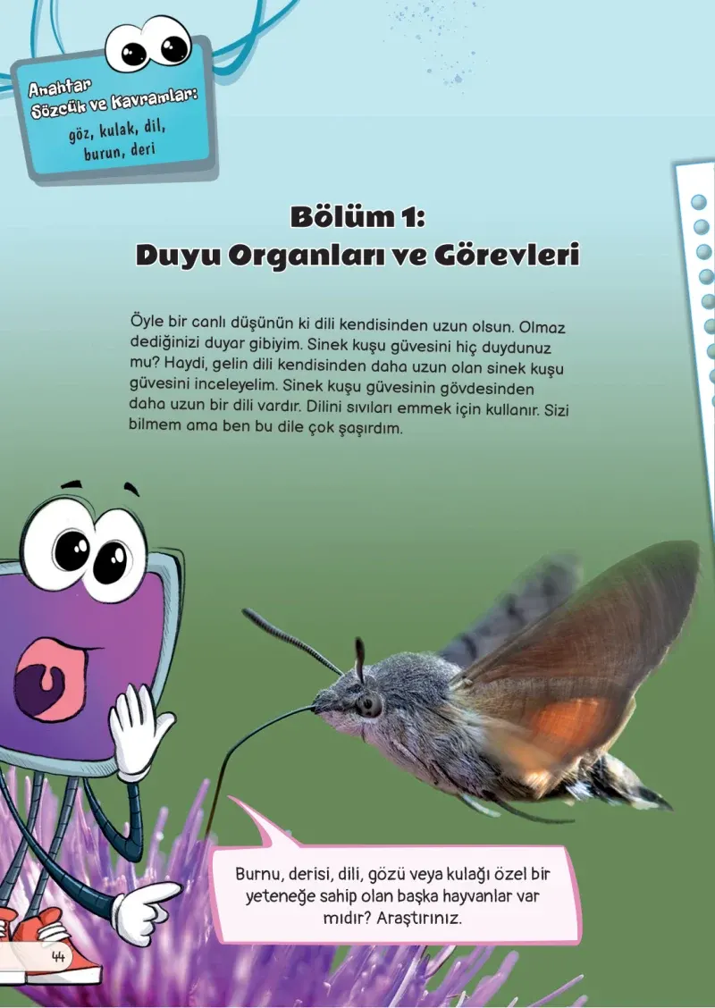 3. Sınıf Fen Bilimleri Ders Kitabı Cevapları Meb Yayınları Sayfa 44