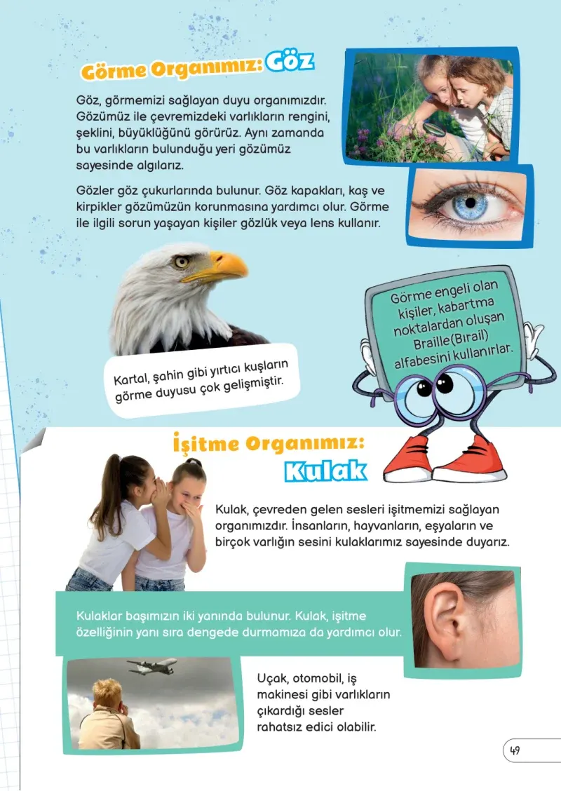 3. Sınıf Fen Bilimleri Ders Kitabı Cevapları Meb Yayınları Sayfa 49