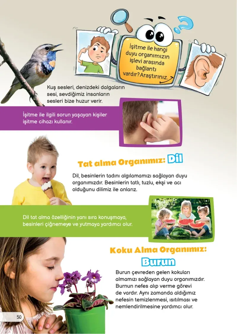 3. Sınıf Fen Bilimleri Ders Kitabı Cevapları Meb Yayınları Sayfa 50