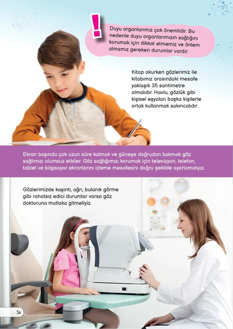 3. Sınıf Fen Bilimleri Ders Kitabı Cevapları Meb Yayınları Sayfa 56