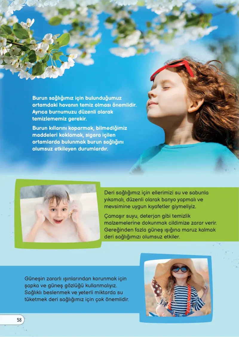 3. Sınıf Fen Bilimleri Ders Kitabı Cevapları Meb Yayınları Sayfa 58