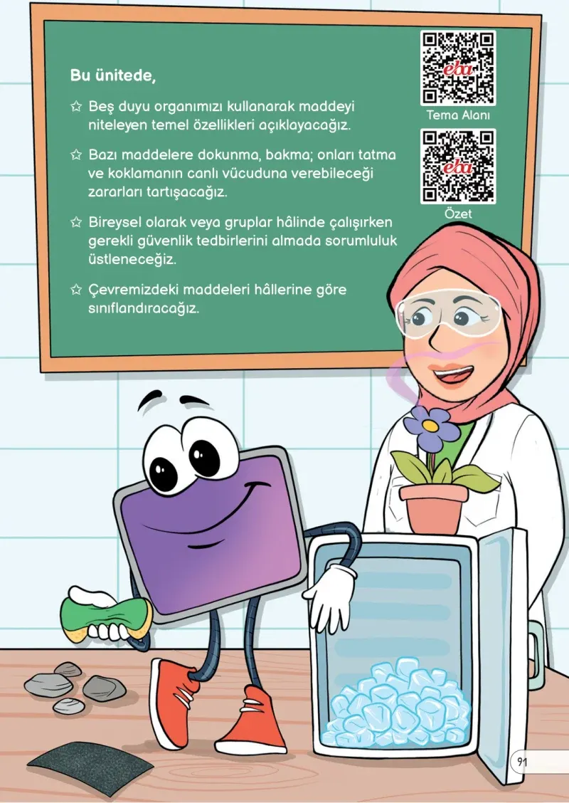 3. Sınıf Fen Bilimleri Ders Kitabı Cevapları Meb Yayınları Sayfa 91
