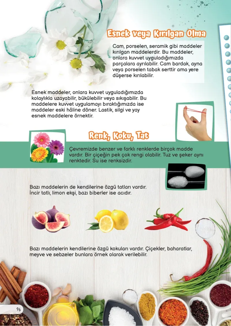 3. Sınıf Fen Bilimleri Ders Kitabı Cevapları Meb Yayınları Sayfa 96