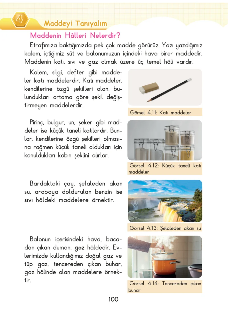 3. Sınıf Fen Bilimleri Ders Kitabı Cevapları SDR Dİkey Yayınları Sayfa 100