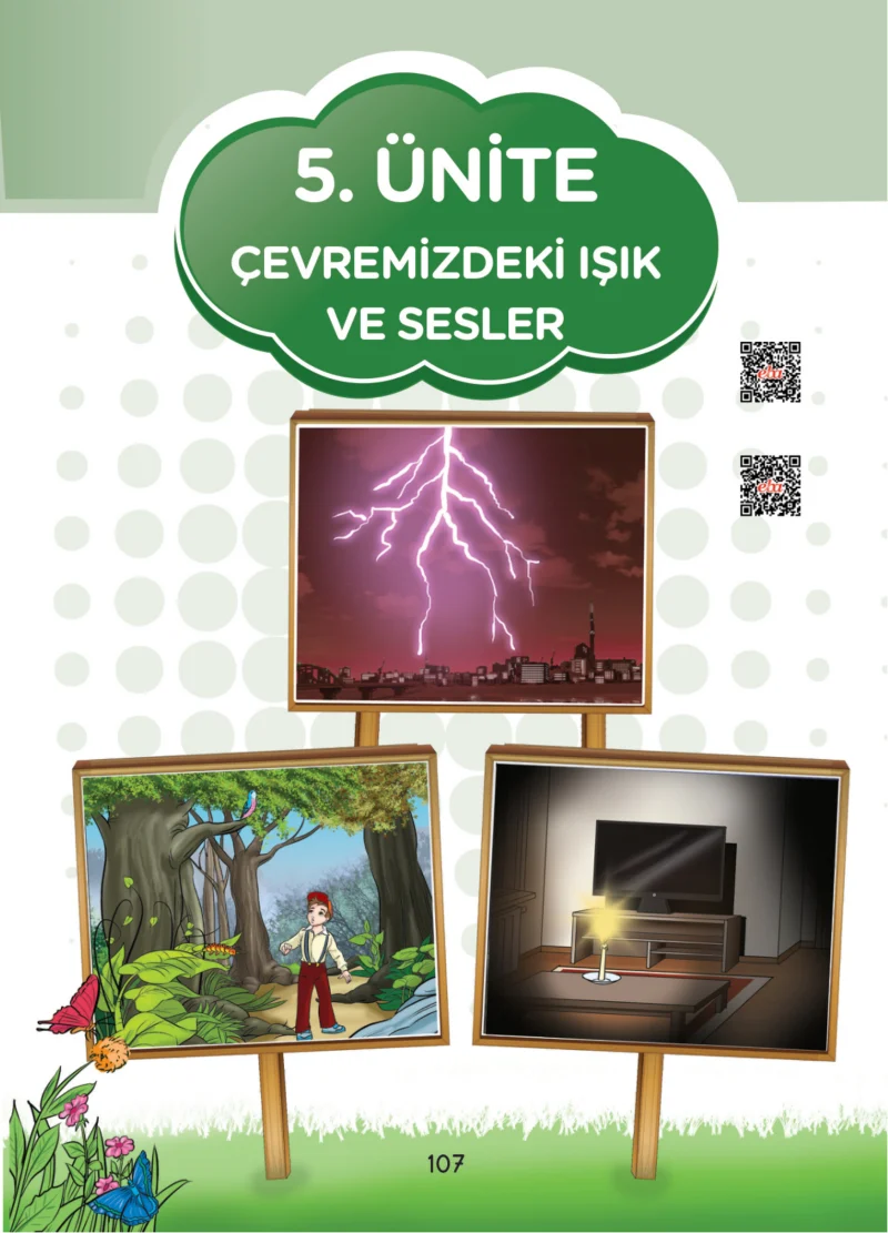 3. Sınıf Fen Bilimleri Ders Kitabı Cevapları SDR Dİkey Yayınları Sayfa 107