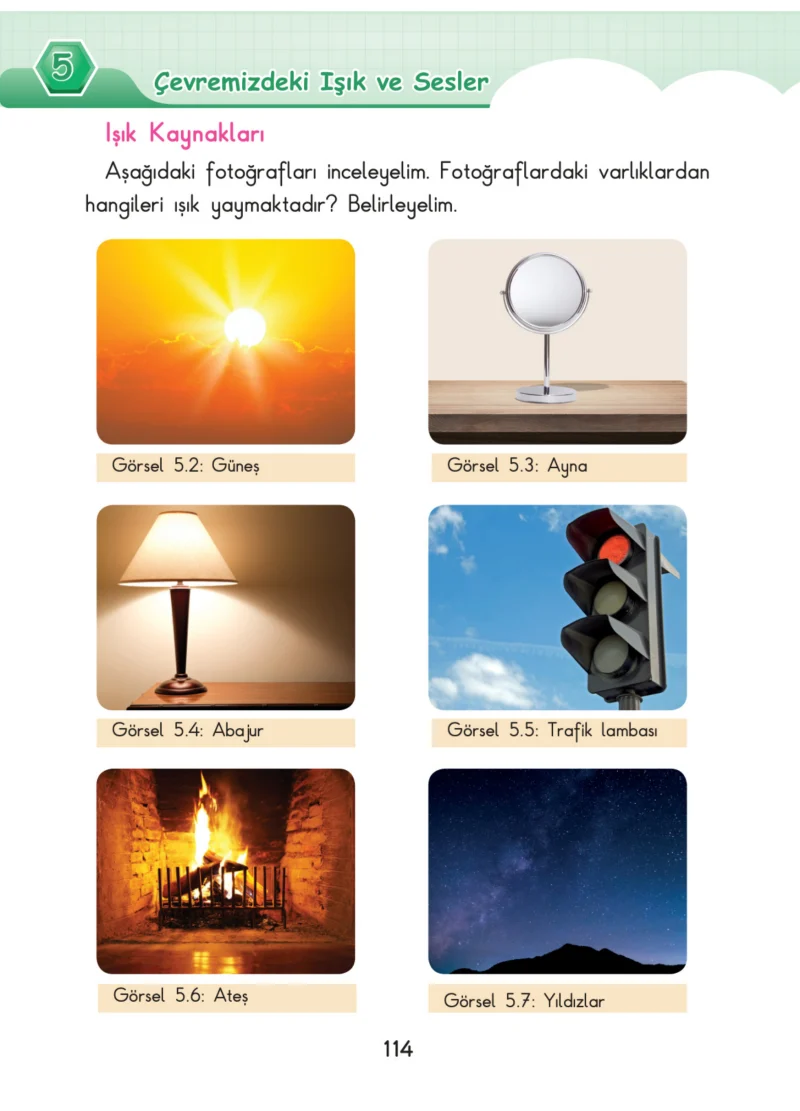 3. Sınıf Fen Bilimleri Ders Kitabı Cevapları SDR Dİkey Yayınları Sayfa 114