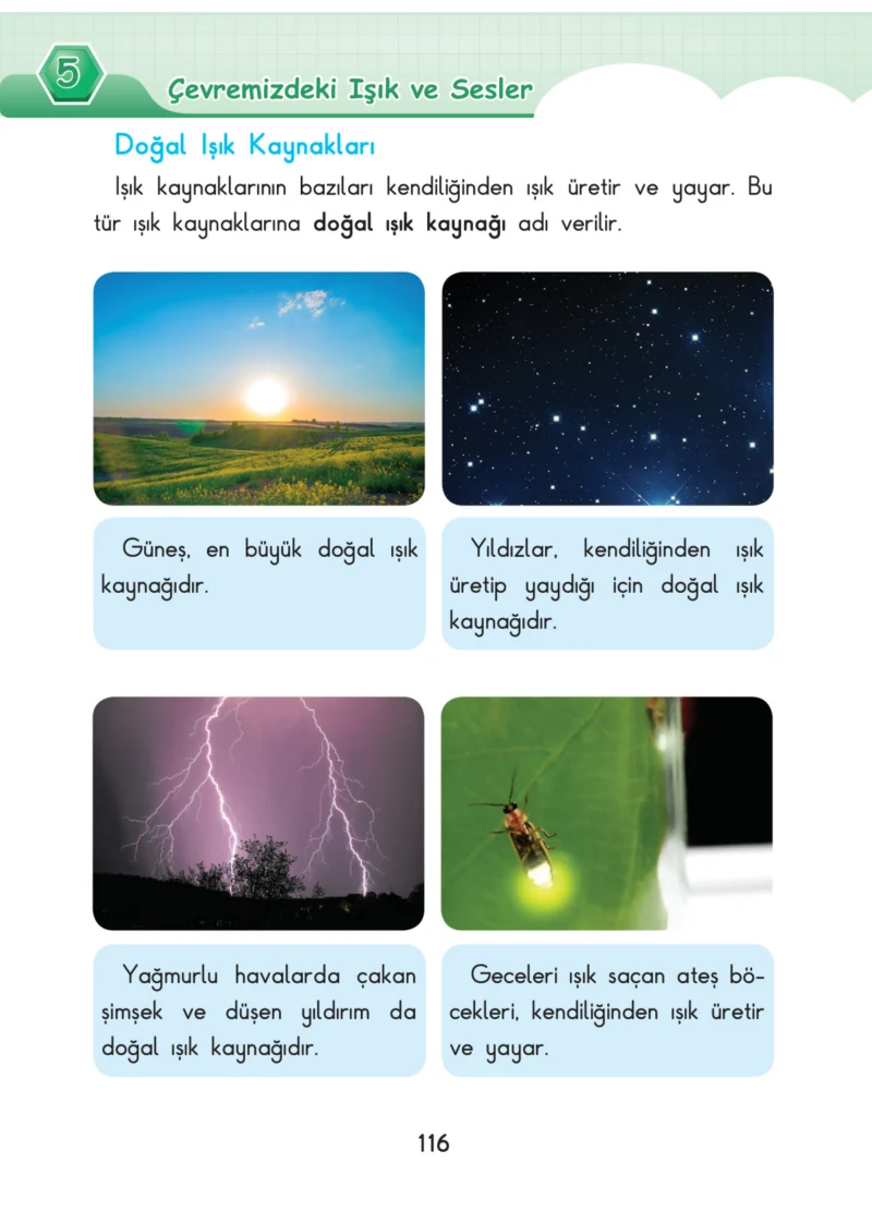 3. Sınıf Fen Bilimleri Ders Kitabı Cevapları SDR Dİkey Yayınları Sayfa 116