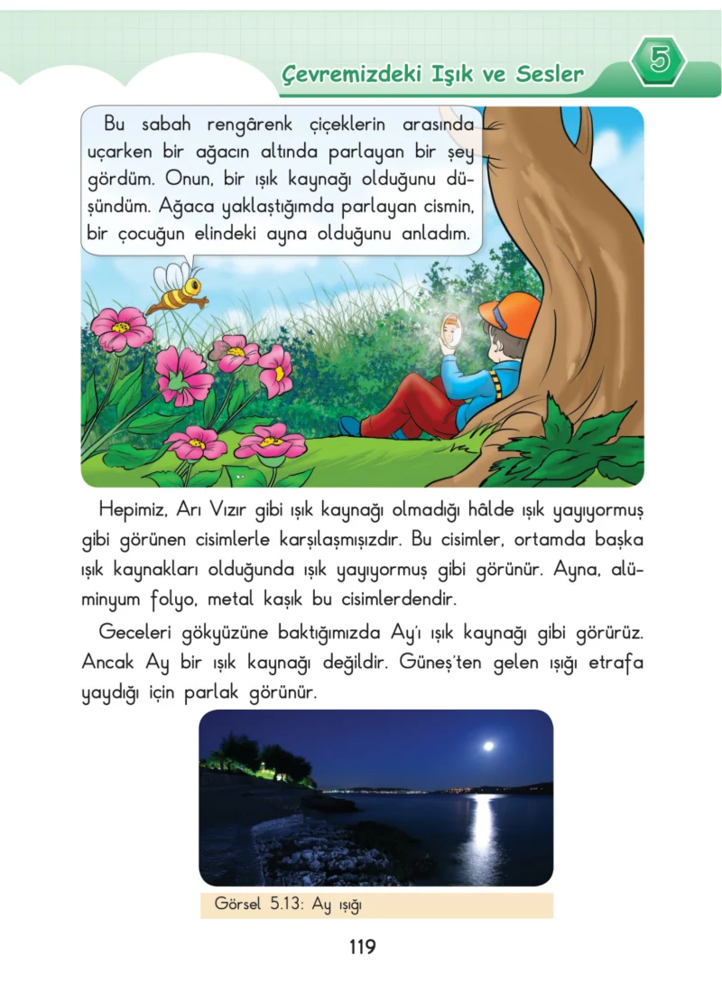 3. Sınıf Fen Bilimleri Ders Kitabı Cevapları SDR Dİkey Yayınları Sayfa 119
