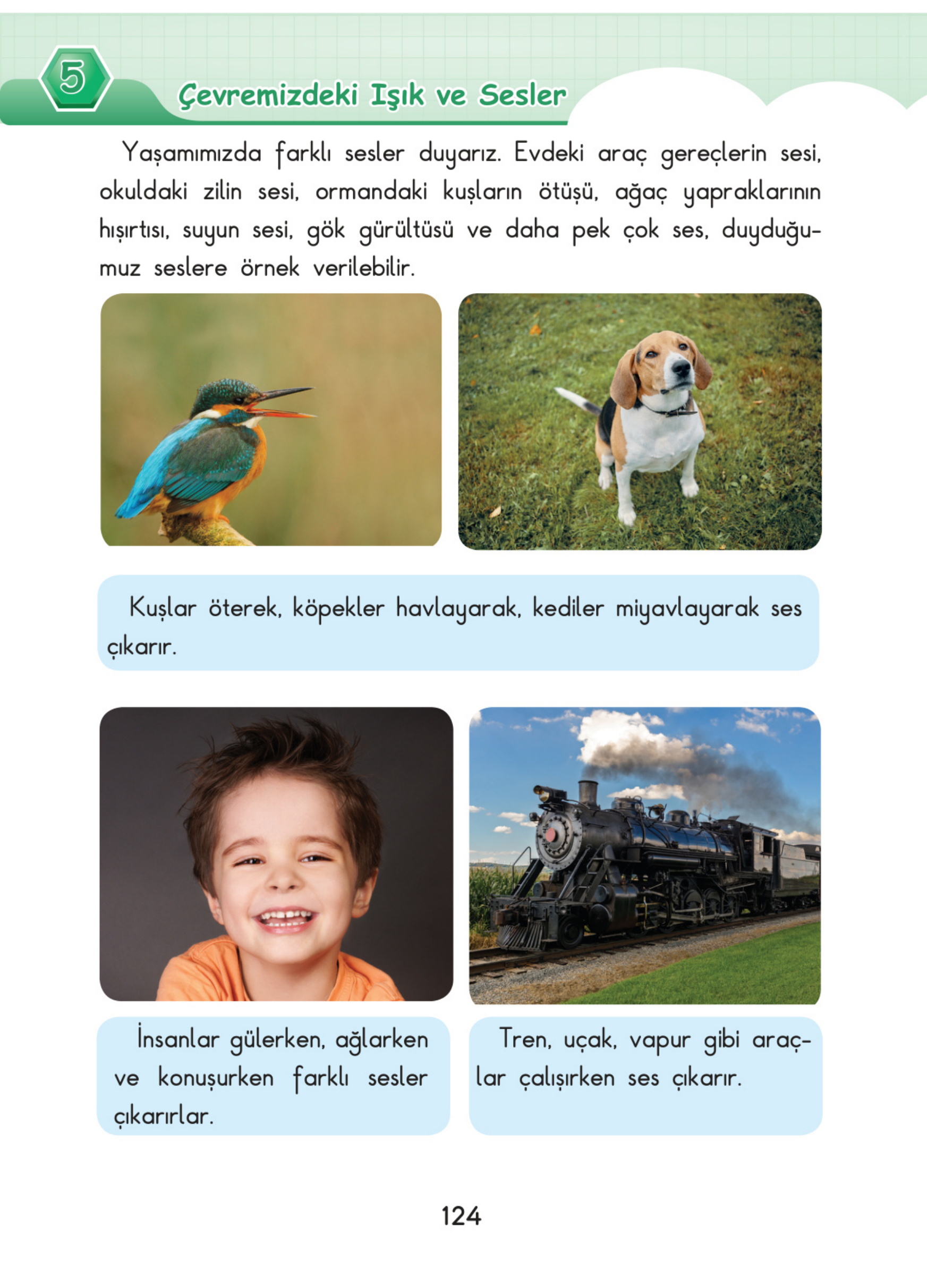 Kitap Sayfası