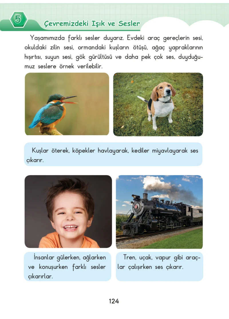 3. Sınıf Fen Bilimleri Ders Kitabı Cevapları SDR Dİkey Yayınları Sayfa 124