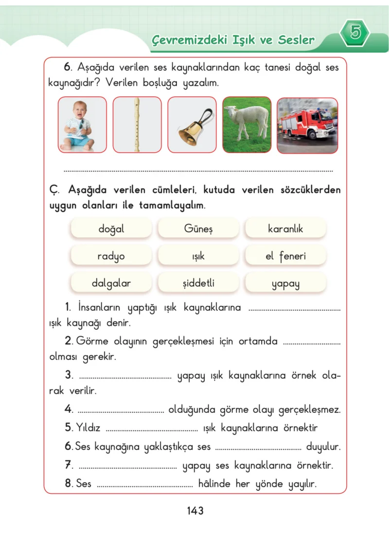 3. Sınıf Fen Bilimleri Ders Kitabı Cevapları SDR Dİkey Yayınları Sayfa 143