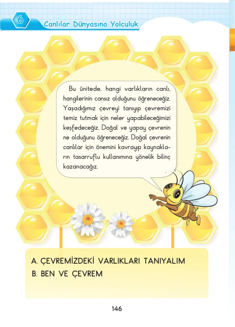3. Sınıf Fen Bilimleri Ders Kitabı Cevapları SDR Dİkey Yayınları Sayfa 146