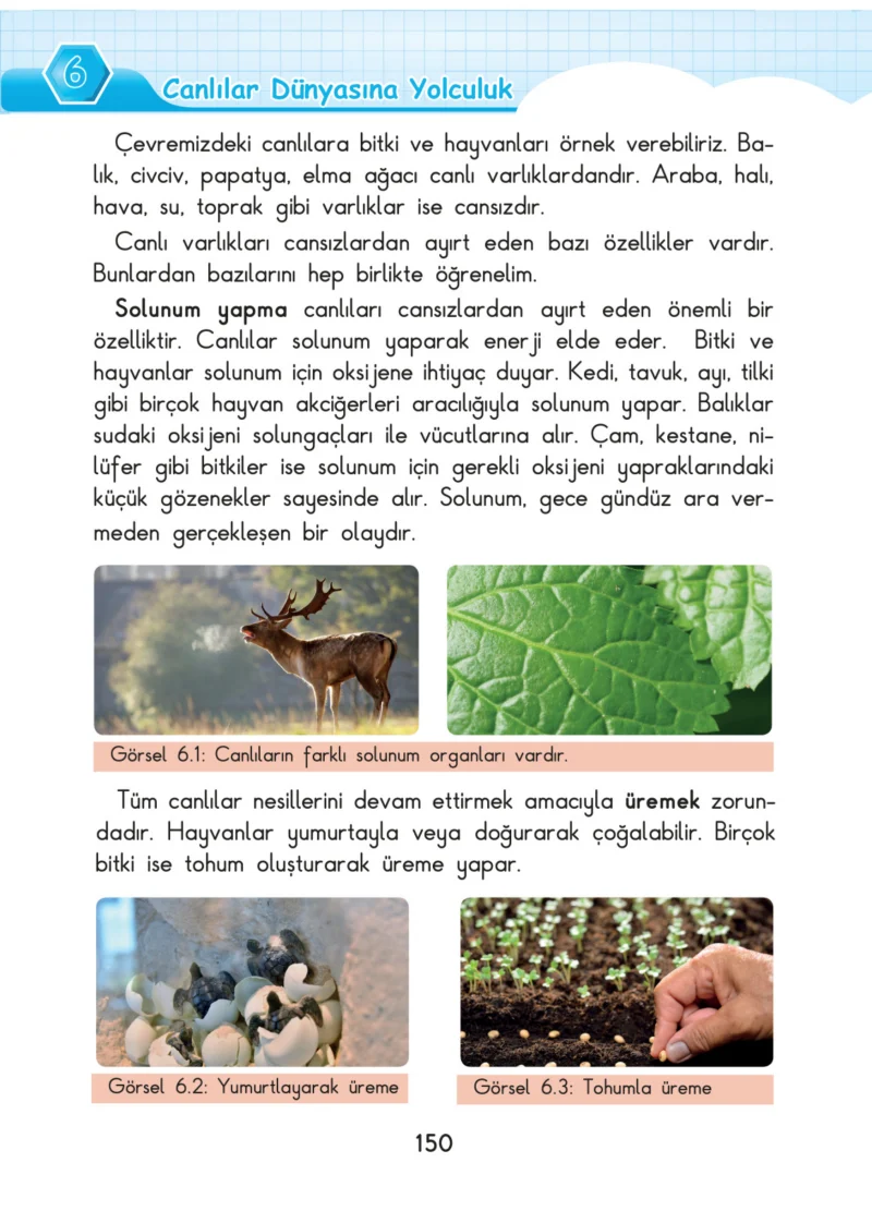3. Sınıf Fen Bilimleri Ders Kitabı Cevapları SDR Dİkey Yayınları Sayfa 150