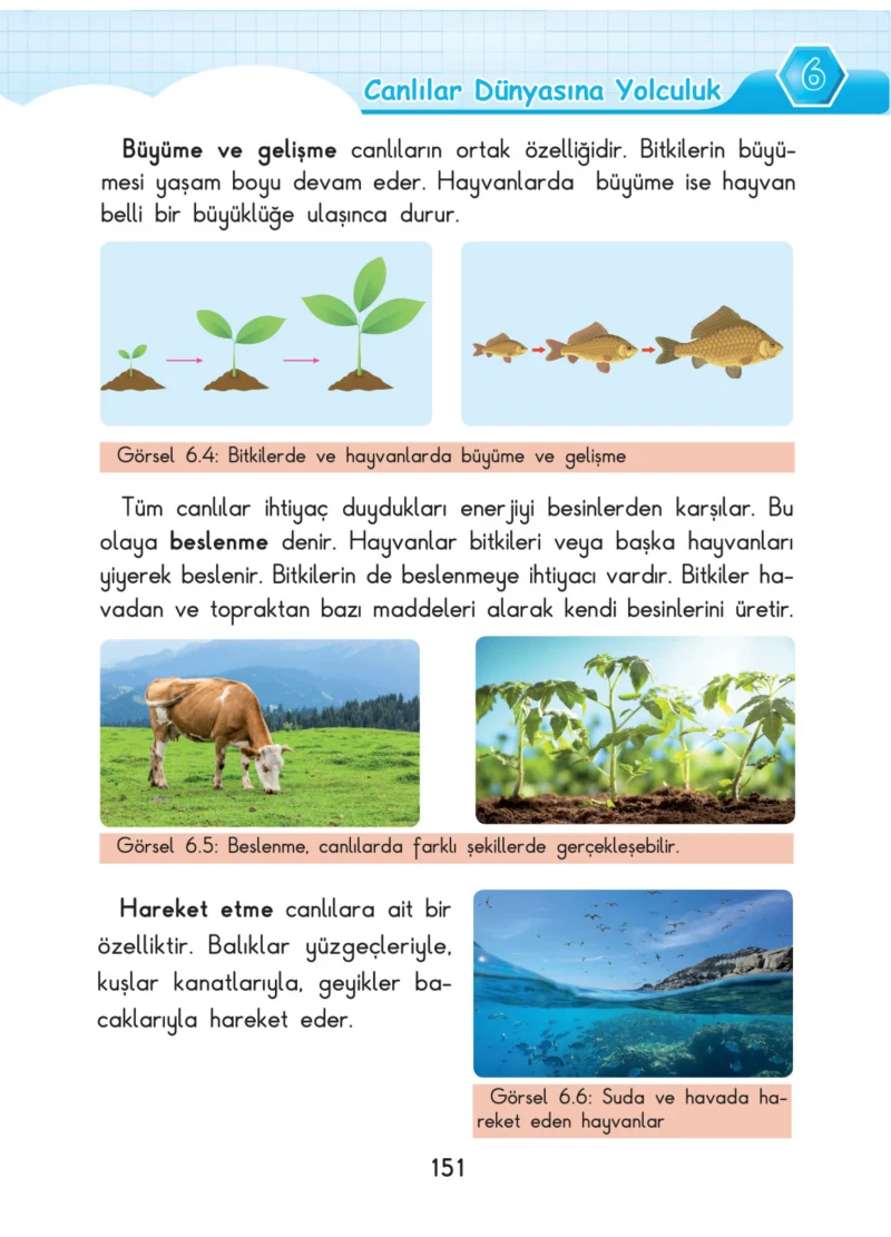 3. Sınıf Fen Bilimleri Ders Kitabı Cevapları SDR Dİkey Yayınları Sayfa 151
