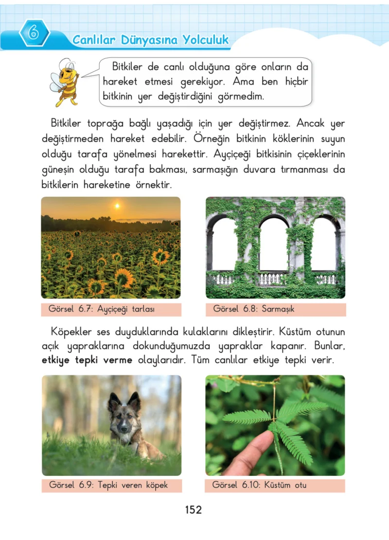 3. Sınıf Fen Bilimleri Ders Kitabı Cevapları SDR Dİkey Yayınları Sayfa 152