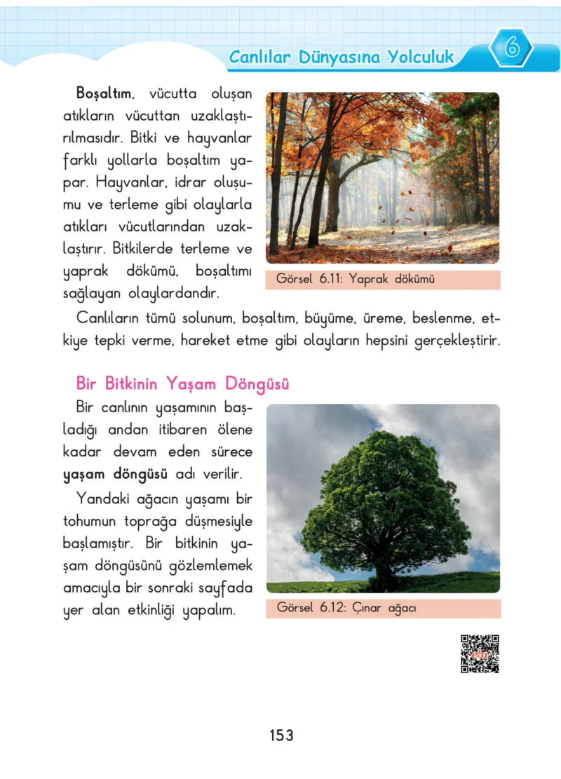 3. Sınıf Fen Bilimleri Ders Kitabı Cevapları SDR Dİkey Yayınları Sayfa 153