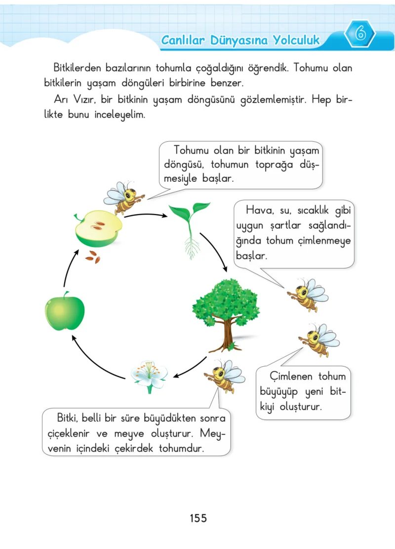 3. Sınıf Fen Bilimleri Ders Kitabı Cevapları SDR Dİkey Yayınları Sayfa 155
