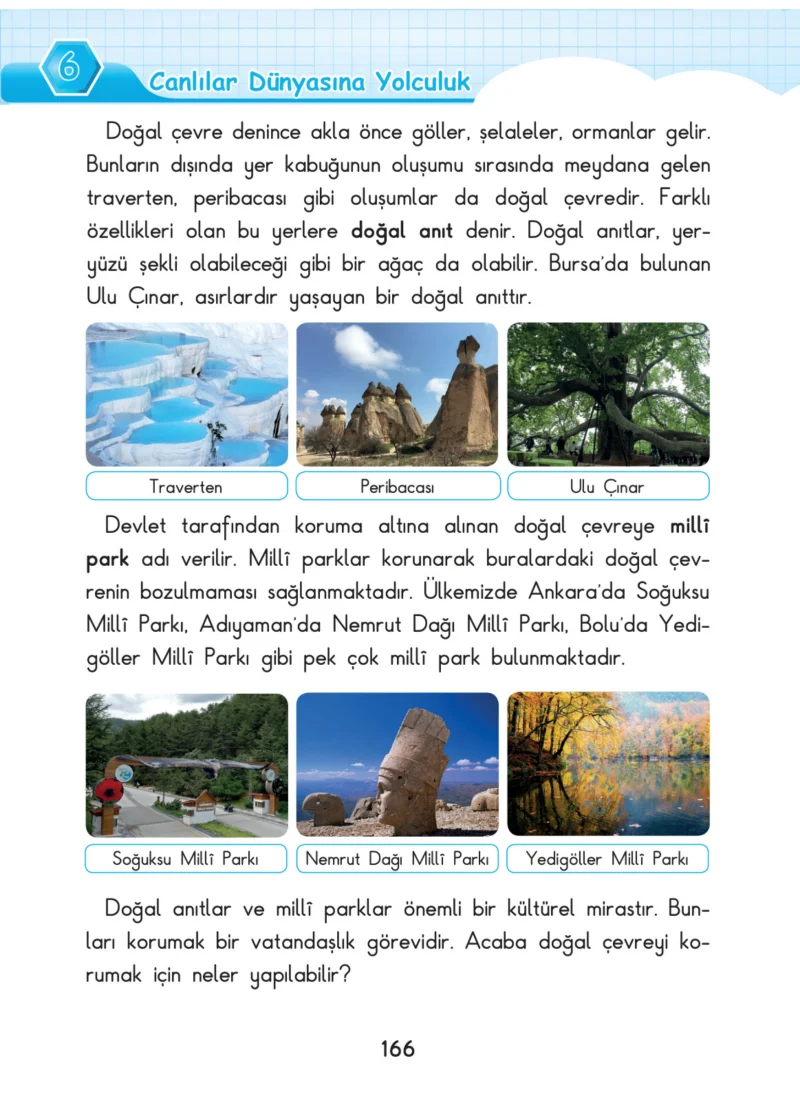 3. Sınıf Fen Bilimleri Ders Kitabı Cevapları SDR Dİkey Yayınları Sayfa 166