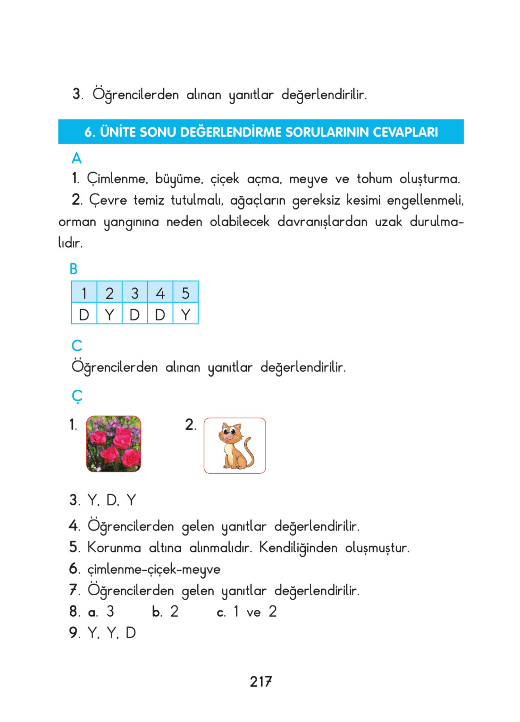 Kitap Sayfası