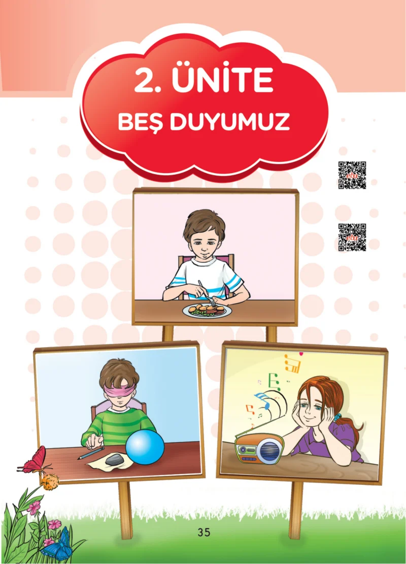 3. Sınıf Fen Bilimleri Ders Kitabı Cevapları SDR Dİkey Yayınları Sayfa 35