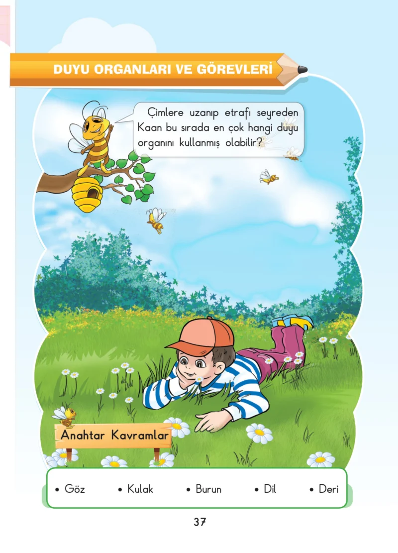 3. Sınıf Fen Bilimleri Ders Kitabı Cevapları SDR Dİkey Yayınları Sayfa 37