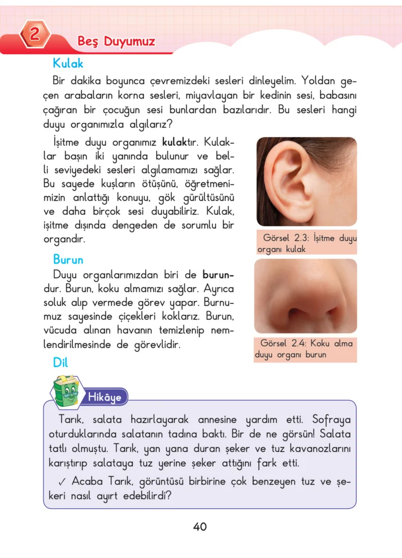 3. Sınıf Fen Bilimleri Ders Kitabı Cevapları SDR Dİkey Yayınları Sayfa 40