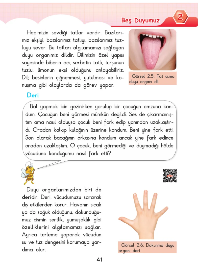3. Sınıf Fen Bilimleri Ders Kitabı Cevapları SDR Dİkey Yayınları Sayfa 41