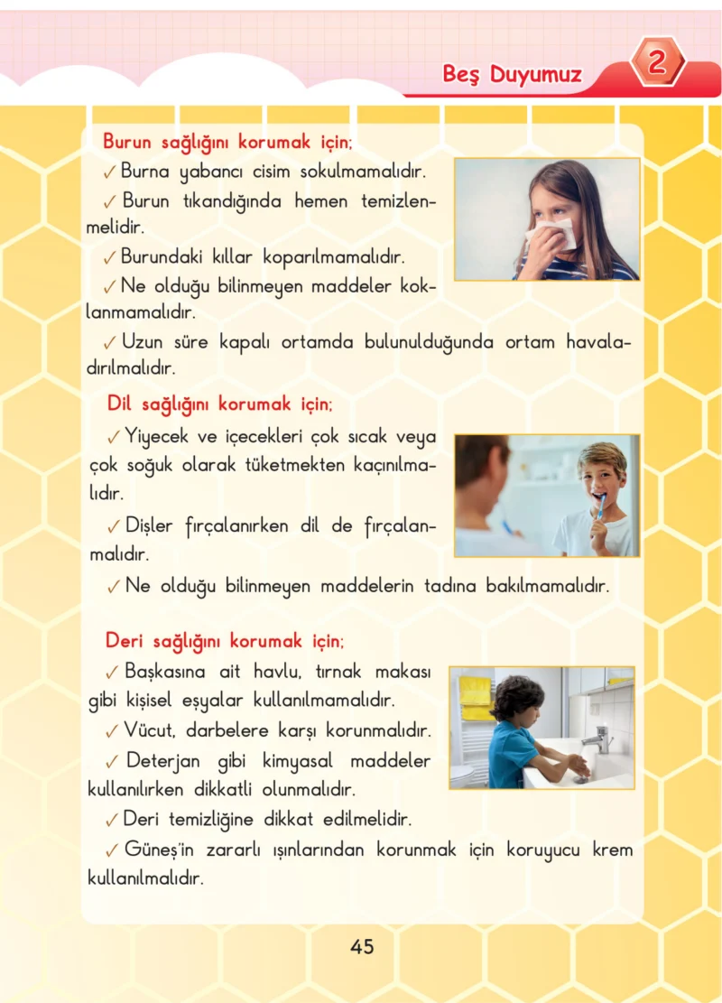 3. Sınıf Fen Bilimleri Ders Kitabı Cevapları SDR Dİkey Yayınları Sayfa 45