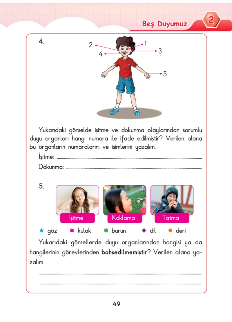 3. Sınıf Fen Bilimleri Ders Kitabı Cevapları SDR Dİkey Yayınları Sayfa 49