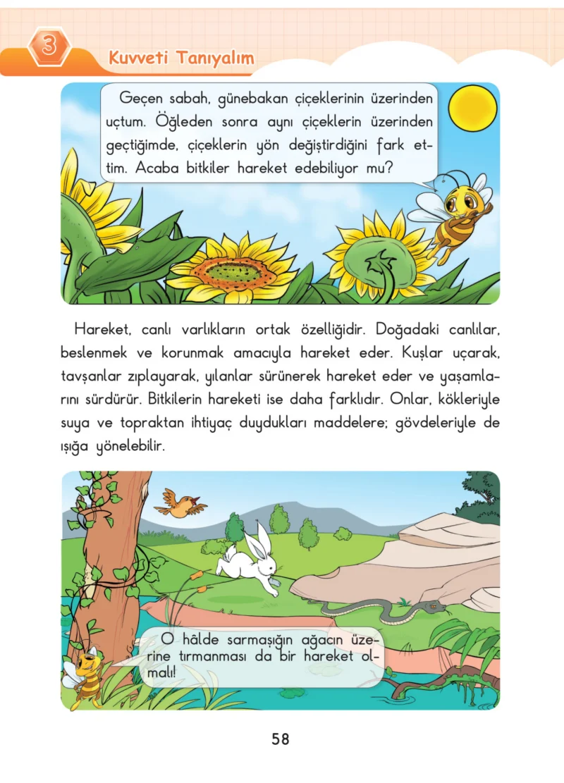3. Sınıf Fen Bilimleri Ders Kitabı Cevapları SDR Dİkey Yayınları Sayfa 58