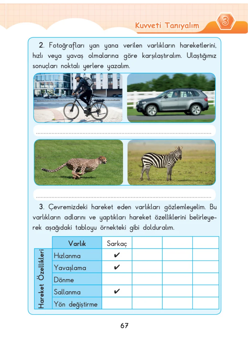 3. Sınıf Fen Bilimleri Ders Kitabı Cevapları SDR Dİkey Yayınları Sayfa 67