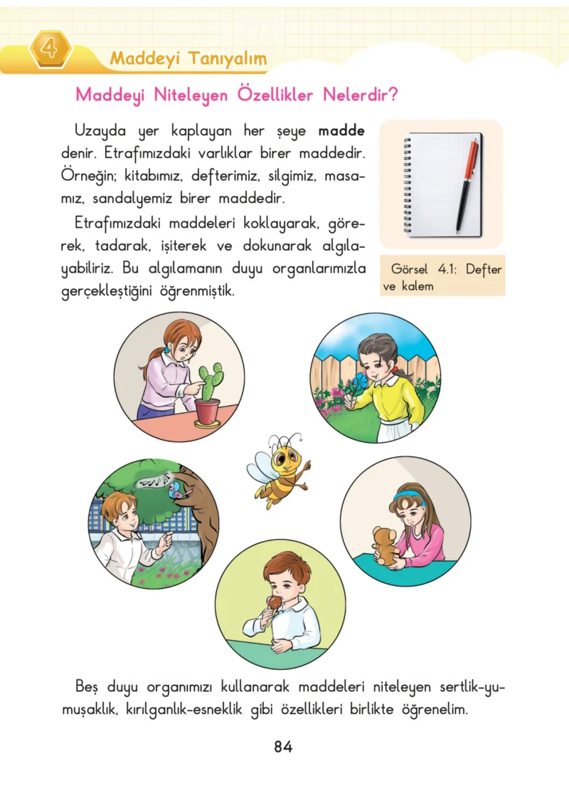 3. Sınıf Fen Bilimleri Ders Kitabı Cevapları SDR Dİkey Yayınları Sayfa 84