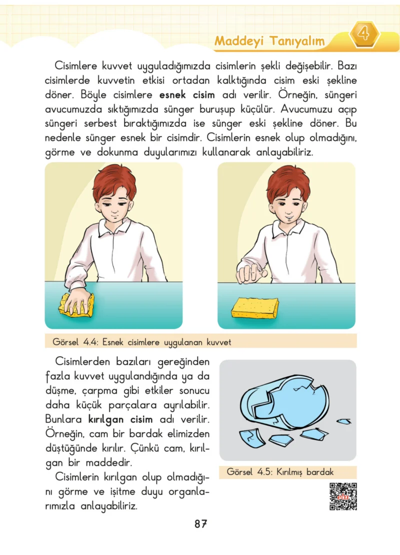 3. Sınıf Fen Bilimleri Ders Kitabı Cevapları SDR Dİkey Yayınları Sayfa 87