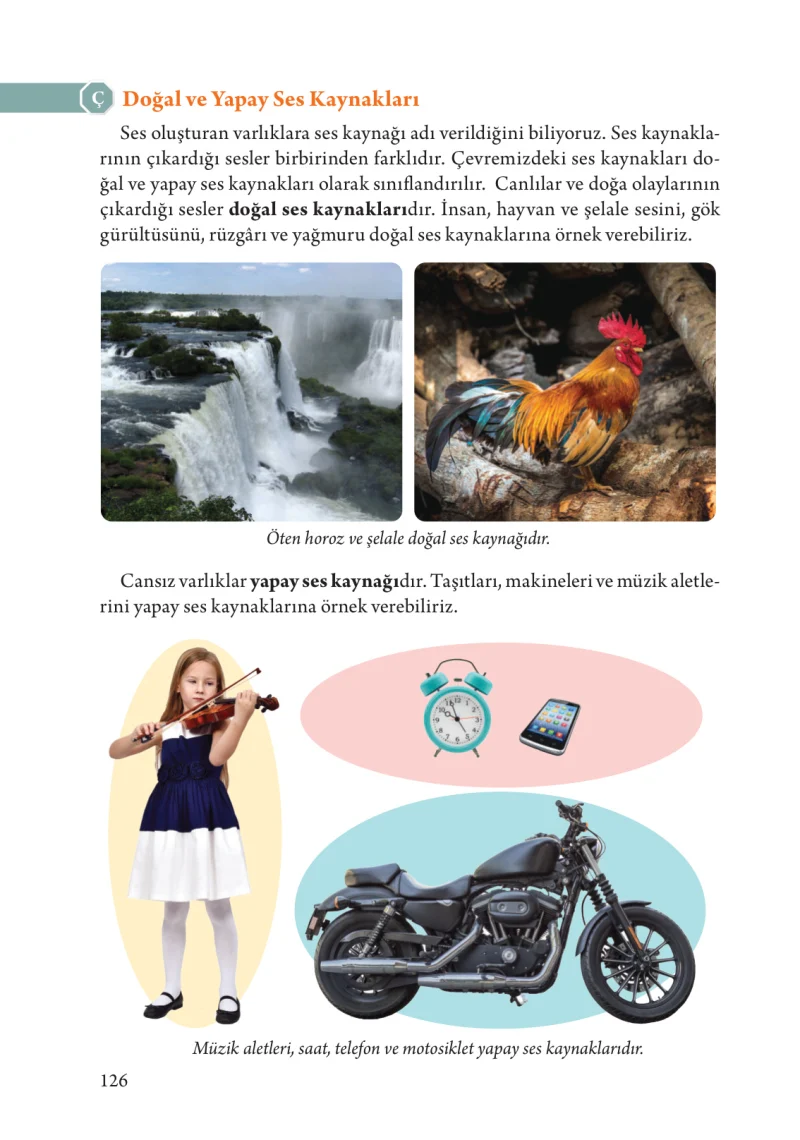 3. Sınıf Fen Bilimleri Ders Kitabı Cevapları Tuna Yayınları Sayfa 126
