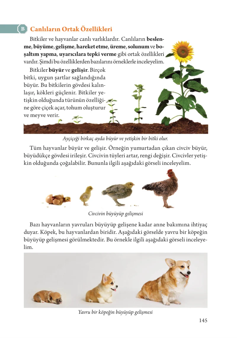 3. Sınıf Fen Bilimleri Ders Kitabı Cevapları Tuna Yayınları Sayfa 145