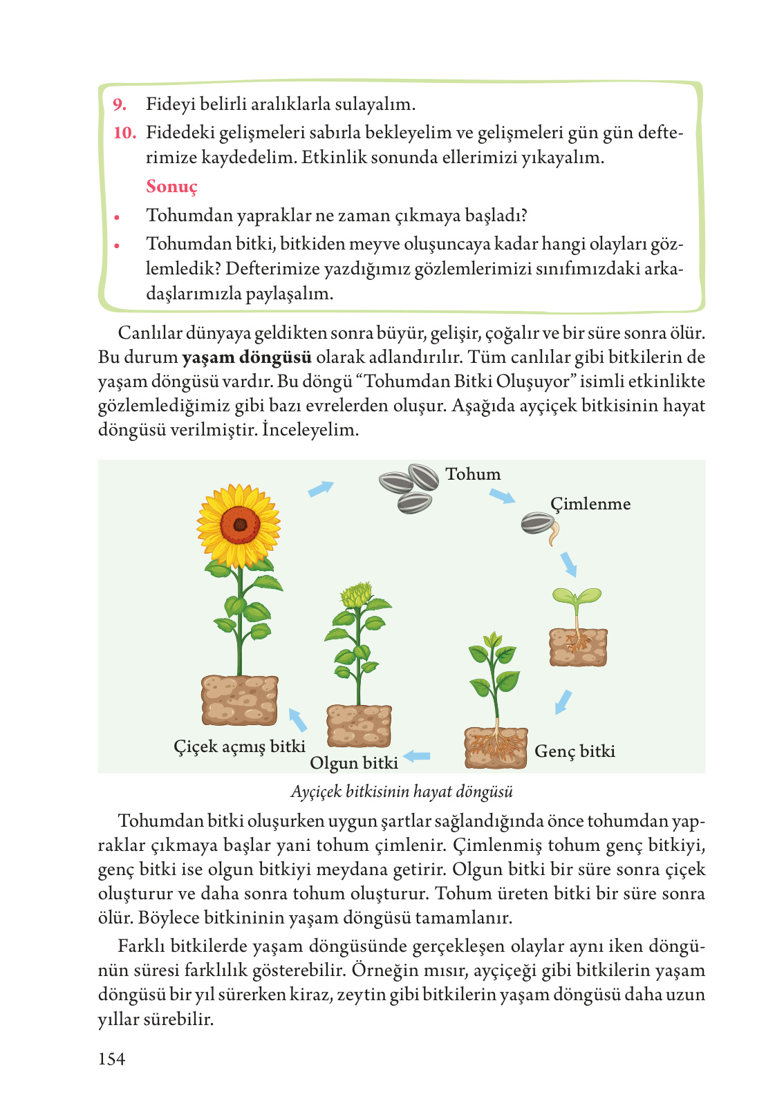 Kitap Sayfası