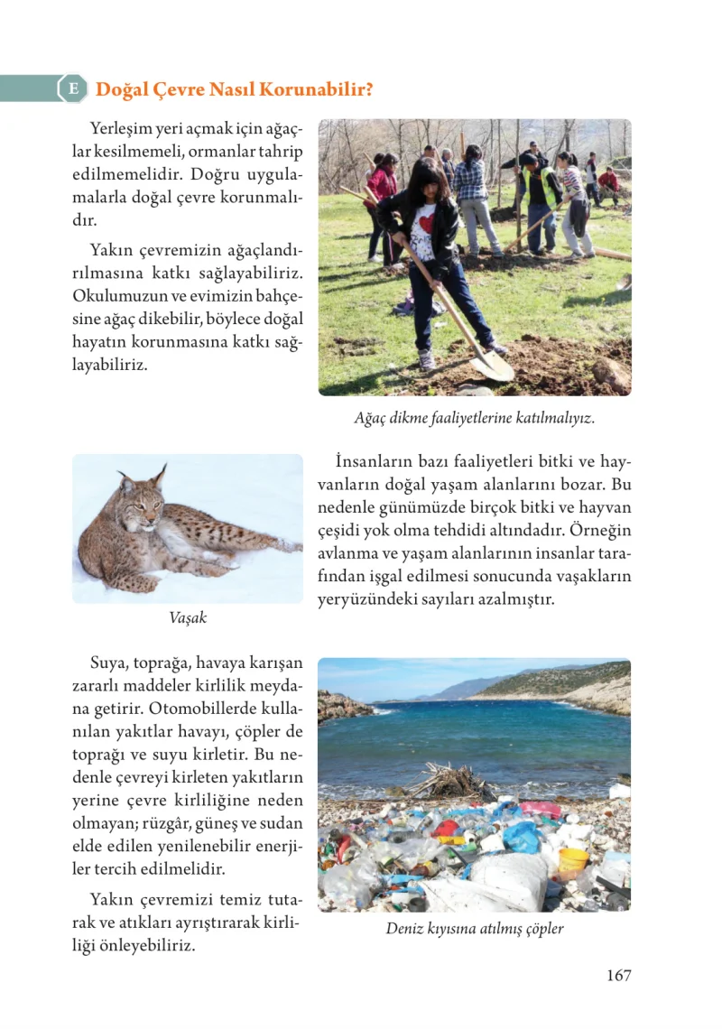 3. Sınıf Fen Bilimleri Ders Kitabı Cevapları Tuna Yayınları Sayfa 167