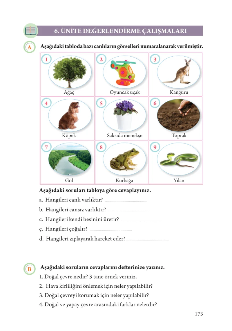 3. Sınıf Fen Bilimleri Ders Kitabı Cevapları Tuna Yayınları Sayfa 173