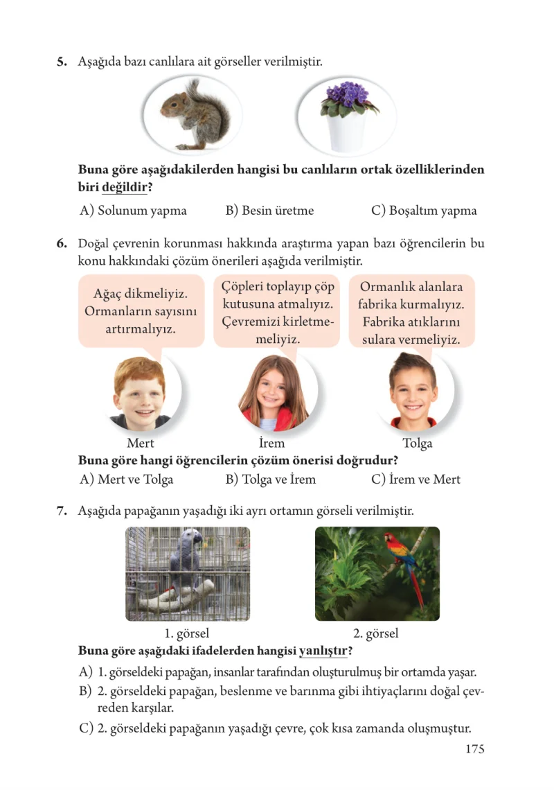 3. Sınıf Fen Bilimleri Ders Kitabı Cevapları Tuna Yayınları Sayfa 175