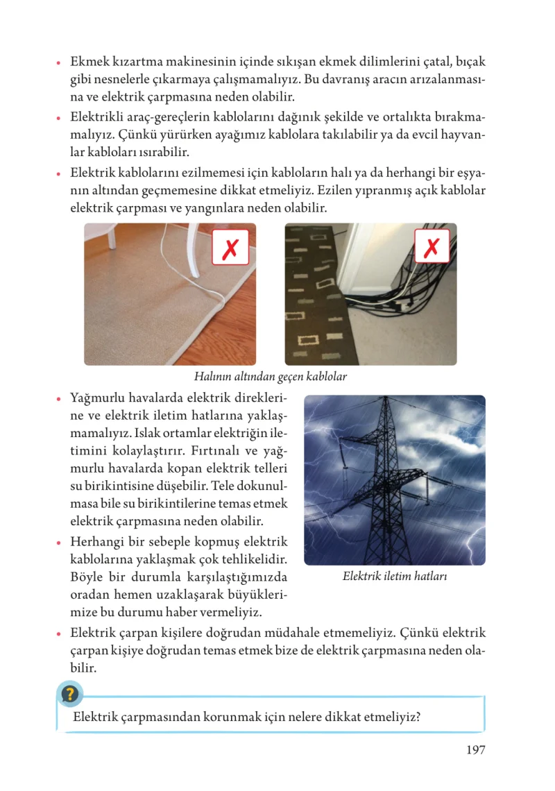 3. Sınıf Fen Bilimleri Ders Kitabı Cevapları Tuna Yayınları Sayfa 197