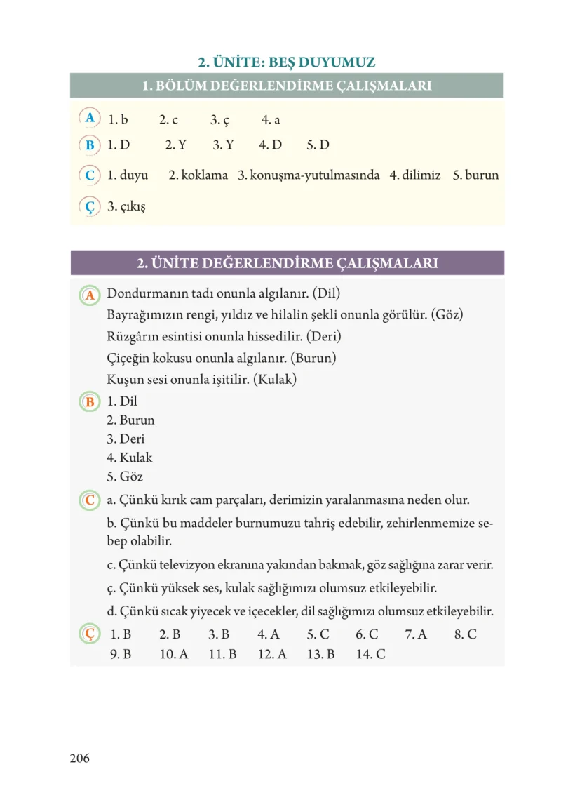 3. Sınıf Fen Bilimleri Ders Kitabı Cevapları Tuna Yayınları Sayfa 206