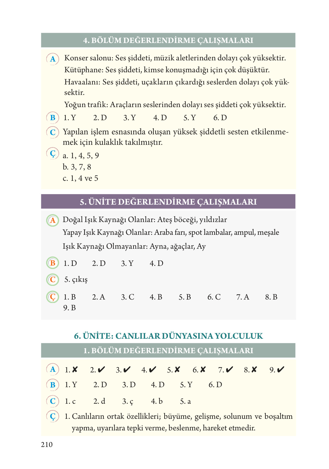 Kitap Sayfası