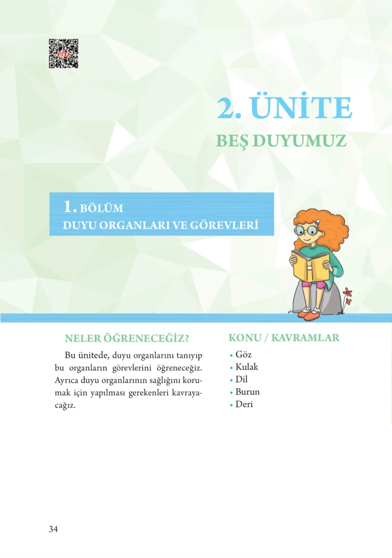 3. Sınıf Fen Bilimleri Ders Kitabı Cevapları Tuna Yayınları Sayfa 34