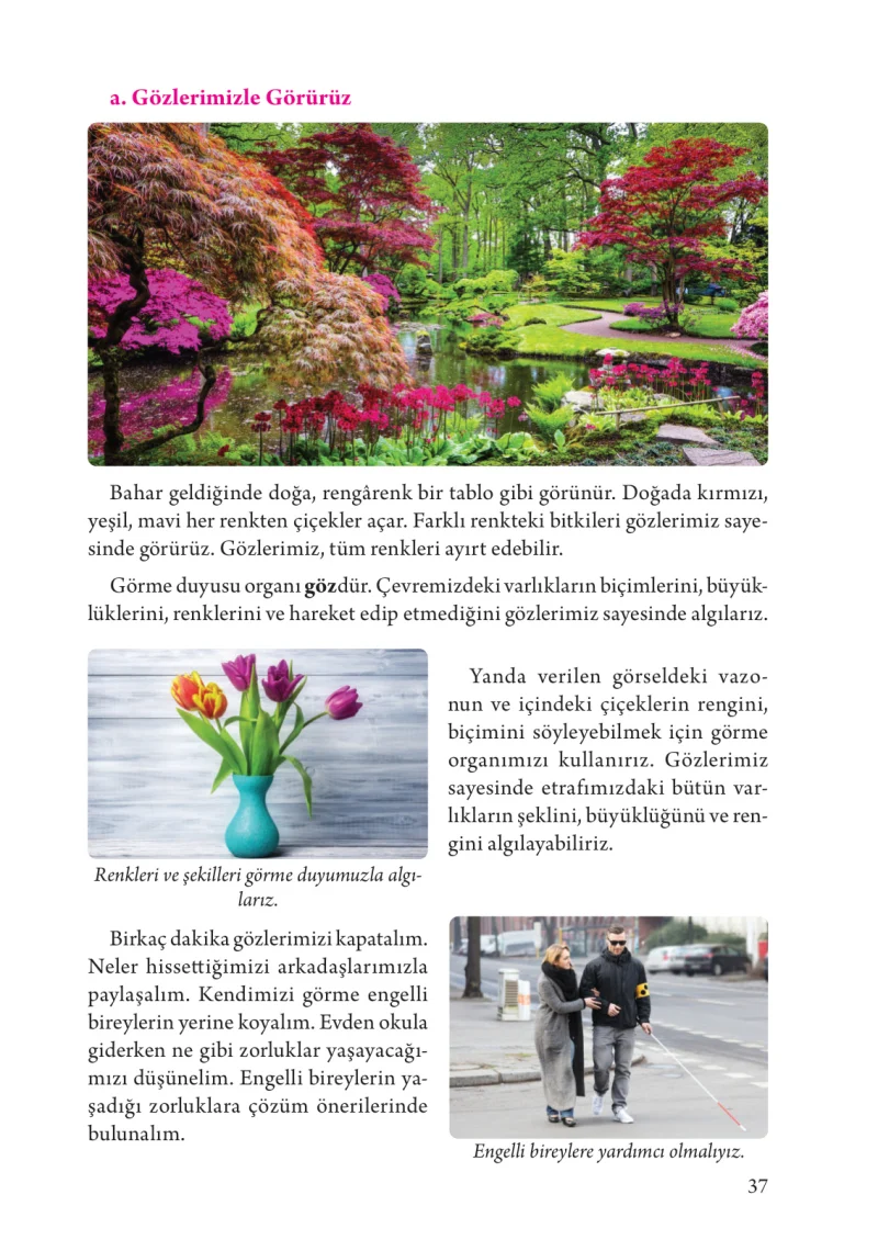 3. Sınıf Fen Bilimleri Ders Kitabı Cevapları Tuna Yayınları Sayfa 37